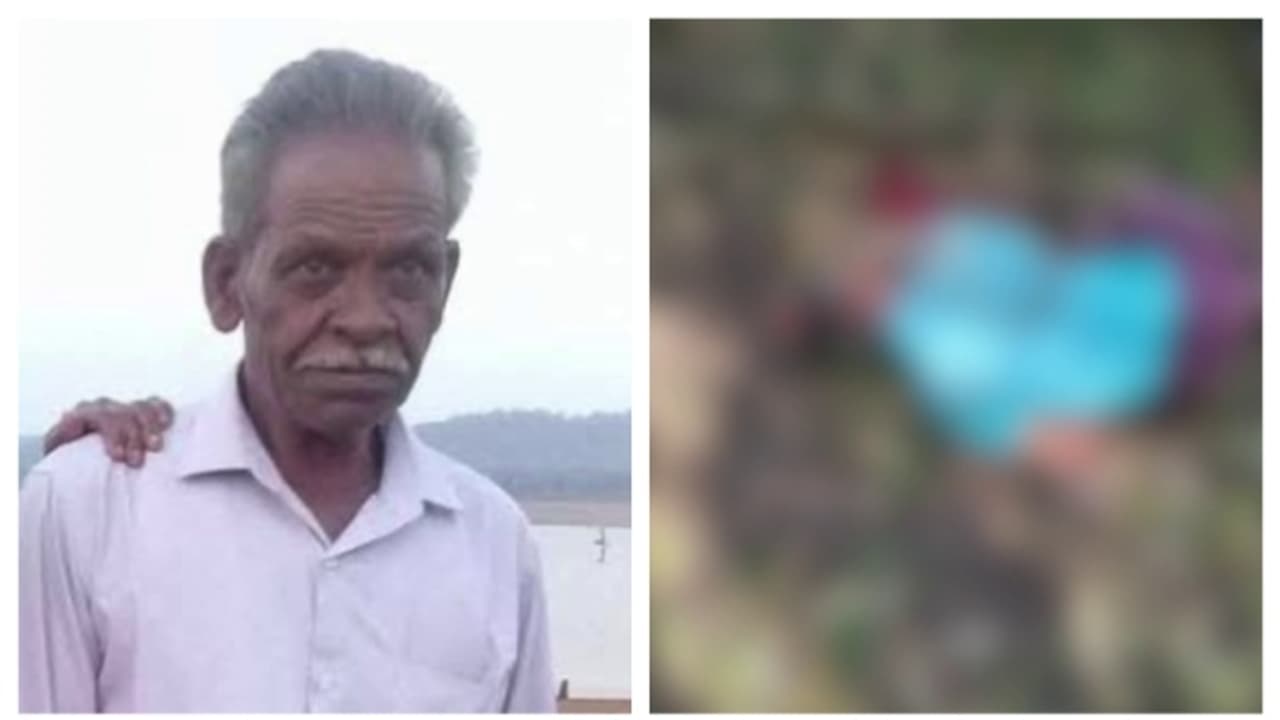 മേയാൻവിട്ട പോത്തിനെ തിരക്കി വനത്തിലേക്ക് പോയി; കാട്ടാന ആക്രമിച്ചു, കാലടി സ്വദേശി കര്‍ണാടകയില്‍ കൊല്ലപ്പെട്ടു