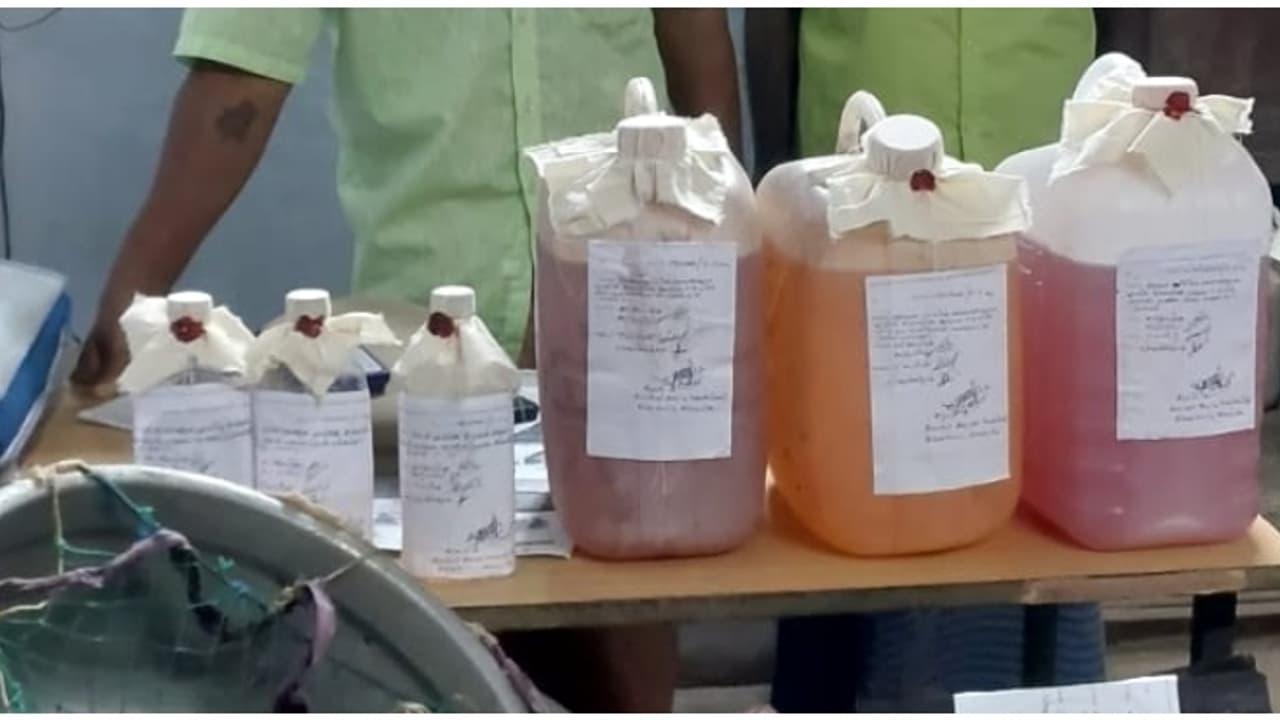 വീടിന്റെ അടുക്കളയിൽ പരിശോധന നടത്തി എക്സൈസ്; പിടിച്ചത് ചാരായവും വാറ്റ് ഉപകരണങ്ങളും വീടിന്റെ അടുക്കളയിൽ പരിശോധന നടത്തി എക്സൈസ്; പിടിച്ചത് ചാരായവും വാറ്റ് ഉപകരണങ്ങളും