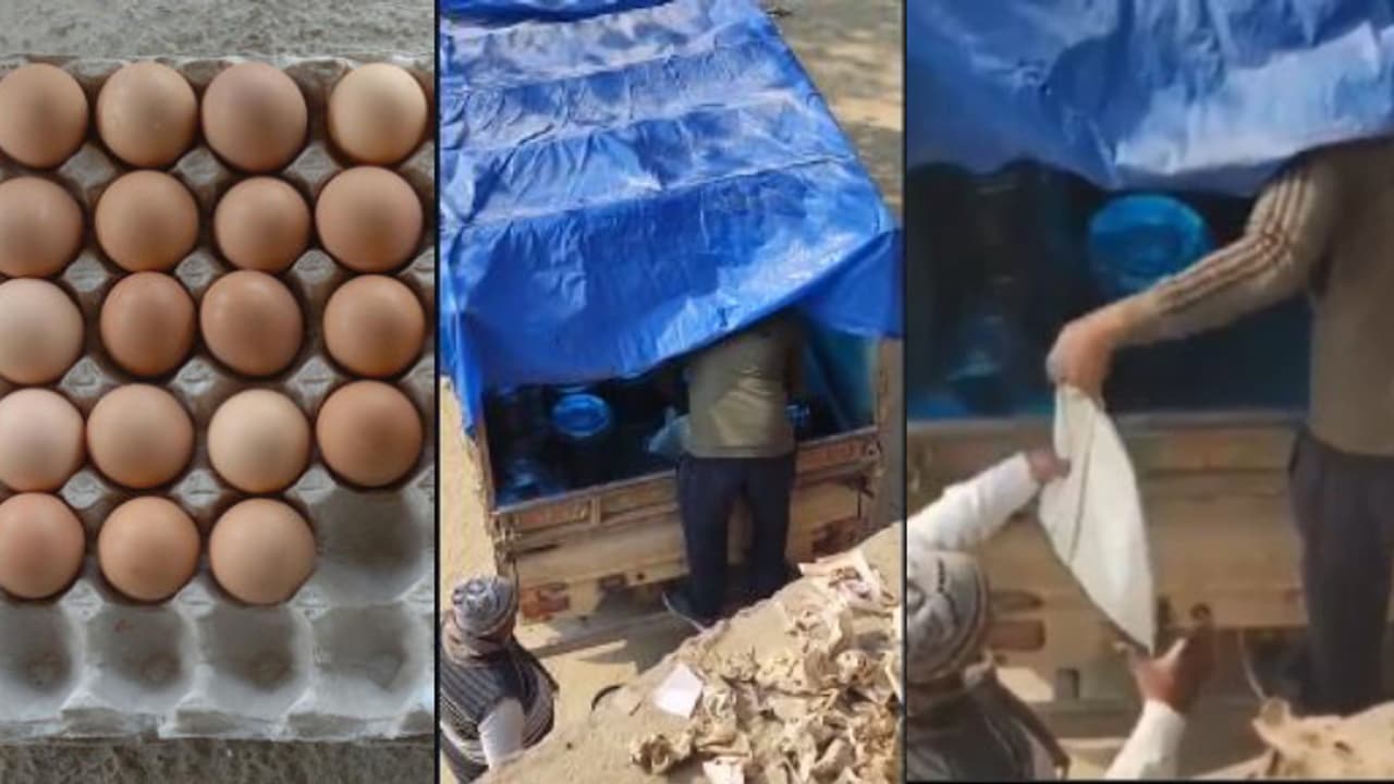 'വിരമിക്കാൻ ഒരുമാസം', ബിഹാറിൽ വിദ്യാർത്ഥികൾക്ക് ഉച്ചഭക്ഷണത്തിന് കൊണ്ടുവന്ന മുട്ടകൾ മോഷ്ടിച്ച് പ്രിൻസിപ്പൽ 'വിരമിക്കാൻ ഒരുമാസം', ബിഹാറിൽ വിദ്യാർത്ഥികൾക്ക് ഉച്ചഭക്ഷണത്തിന് കൊണ്ടുവന്ന മുട്ടകൾ മോഷ്ടിച്ച് പ്രിൻസിപ്പൽ