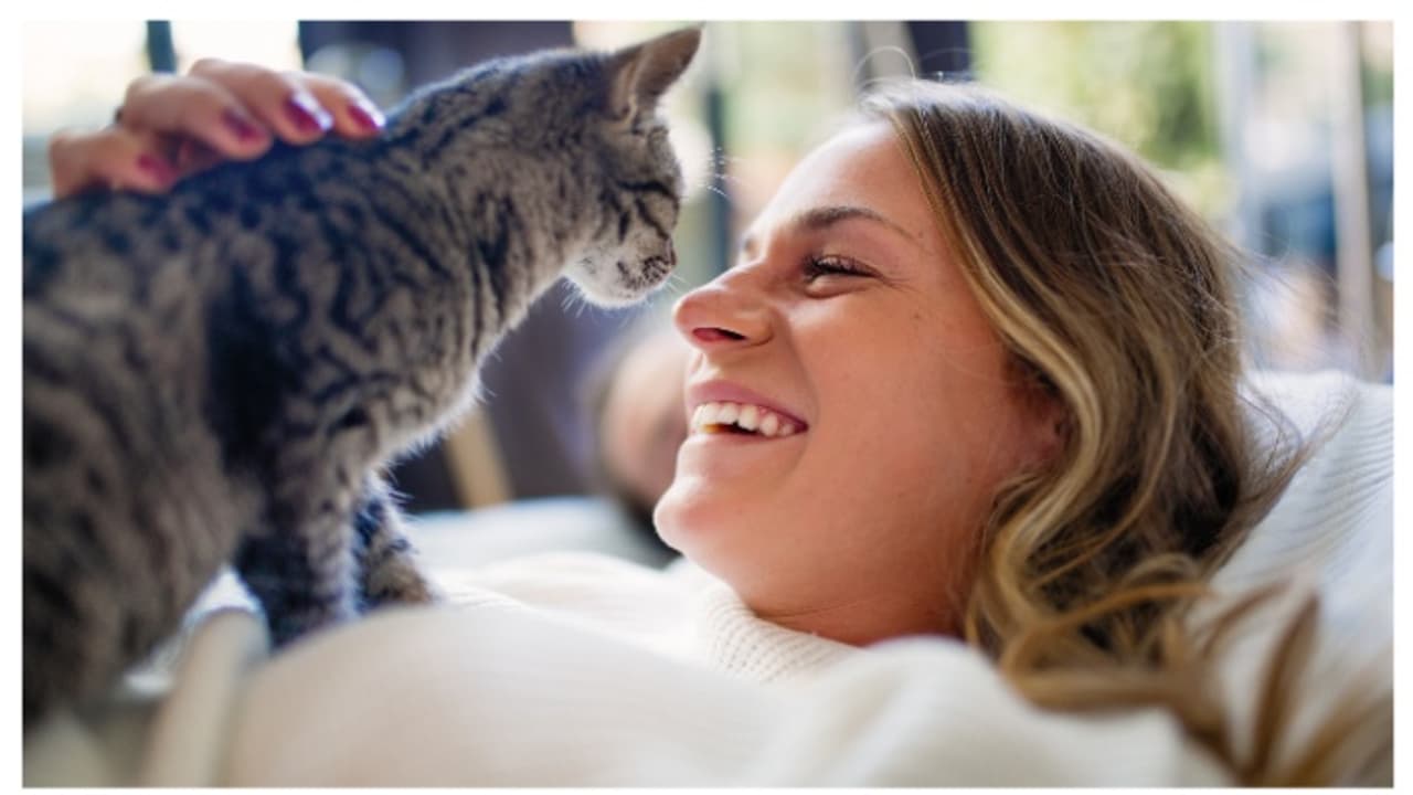 ಮುದ್ದಿನ ಬೆಕ್ಕಿನ ಸಾವು ತಂದ ನೋವು: ಬದುಕಿಗೆ ಗುಡ್‌ಬಾಯ್ ಹೇಳಿದ ವಿಚ್ಚೇದಿತ ಮಹಿಳೆ