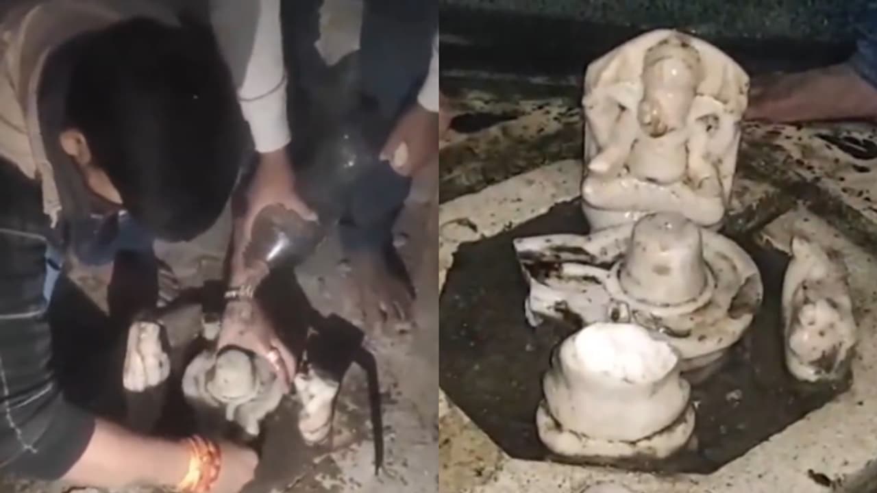 UP: Another abandoned Shiv Temple discovered in just days in Aligarh [WATCH]