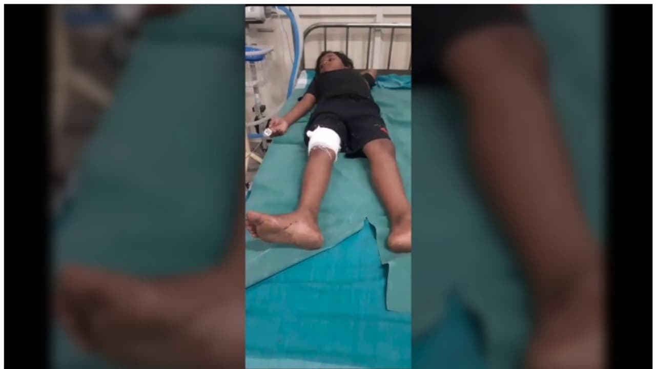 ശബരിമലയിൽ കാട്ടുപന്നി ആക്രമണത്തിൽ 9 വയസുകാരന് പരിക്ക് 