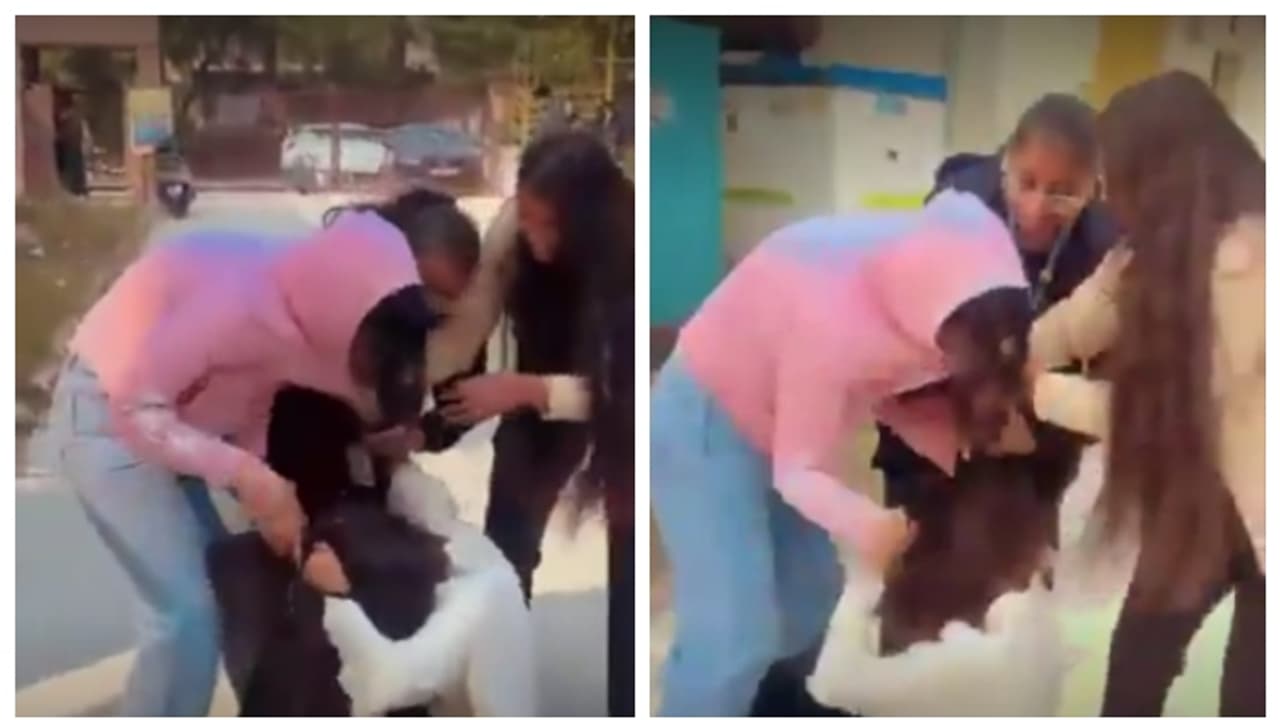 മുടി പിടിച്ച് വലിച്ച്, നിലത്തിട്ട് ചവിട്ടി, മാന്തിപ്പറിച്ച് പെണ്കുട്ടികളുടെ പൊരിഞ്ഞ തല്ല്; വീഡിയോ വൈറൽ മുടി പിടിച്ച് വലിച്ച്, നിലത്തിട്ട് ചവിട്ടി, മാന്തിപ്പറിച്ച് പെണ്കുട്ടികളുടെ പൊരിഞ്ഞ തല്ല്; വീഡിയോ വൈറൽ