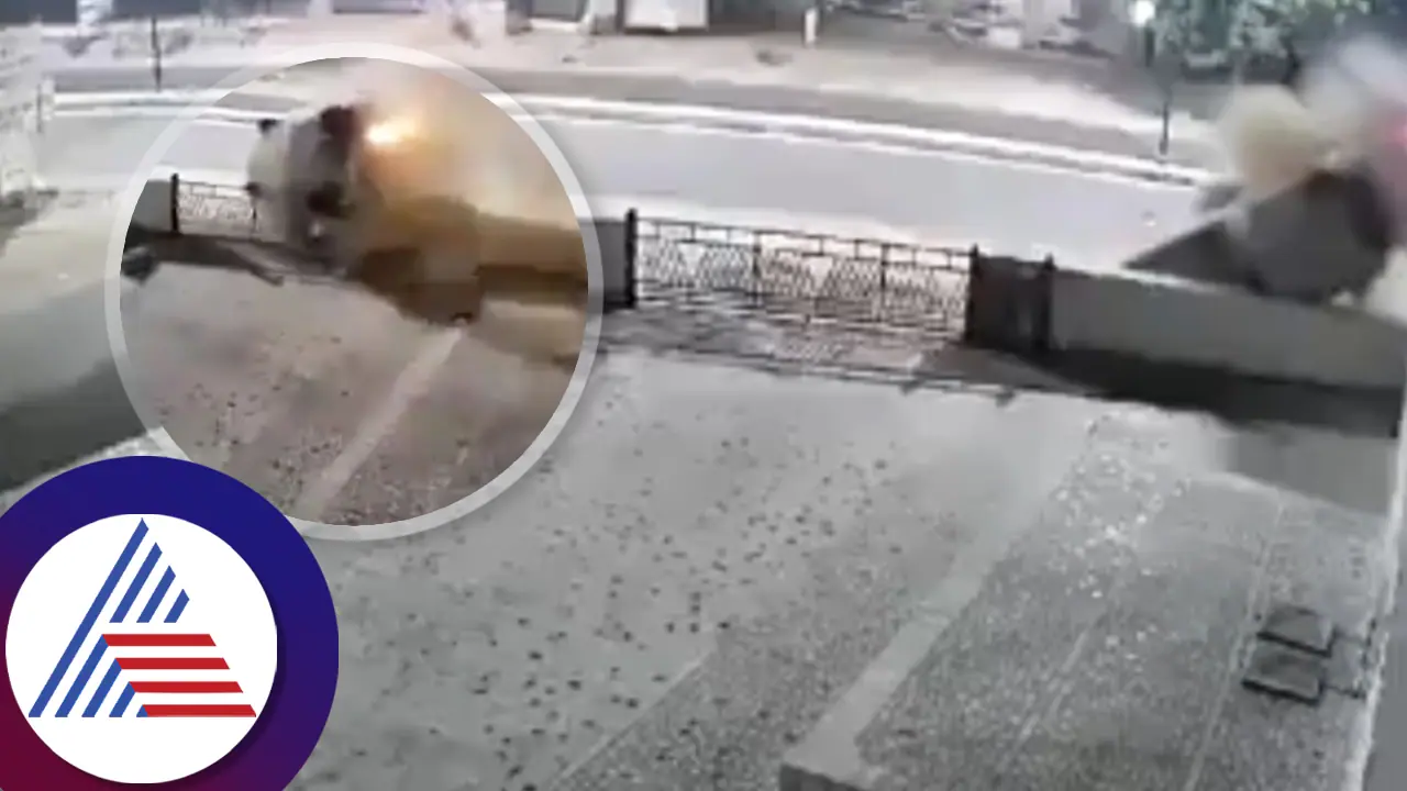 8 ಪಲ್ಟಿಯಾದ ಕಾರು, ಹರಹಾಸದಿಂದ ಹೊರಬಂದು ಚಹಾ ಕೇಳಿದ ಪ್ರಯಾಣಿಕರು;ವಿಡಿಯೋ! 8 ಪಲ್ಟಿಯಾದ ಕಾರು, ಹರಹಾಸದಿಂದ ಹೊರಬಂದು ಚಹಾ ಕೇಳಿದ ಪ್ರಯಾಣಿಕರು;ವಿಡಿಯೋ!