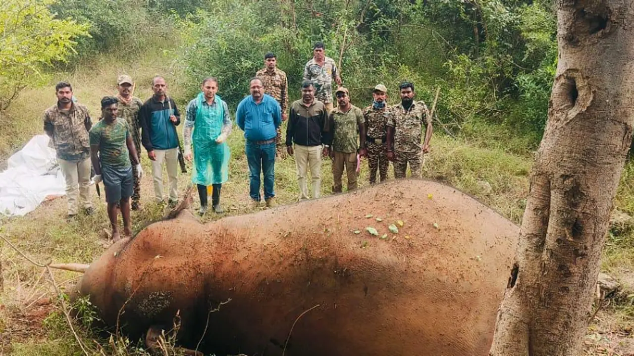 ಬಿಆರ್‌ಟಿ ಹುಲಿ ಸಂರಕ್ಷಿತಾರಣ್ಯದಲ್ಲಿಲ್ಲ ಪಶು ವೈದ್ಯರು?: ಪ್ರಾಣಿಗಳು ಸತ್ತರೆ ಮರಣೋತ್ತರ ಪರೀಕ್ಷೆ ಹೇಗೆ?