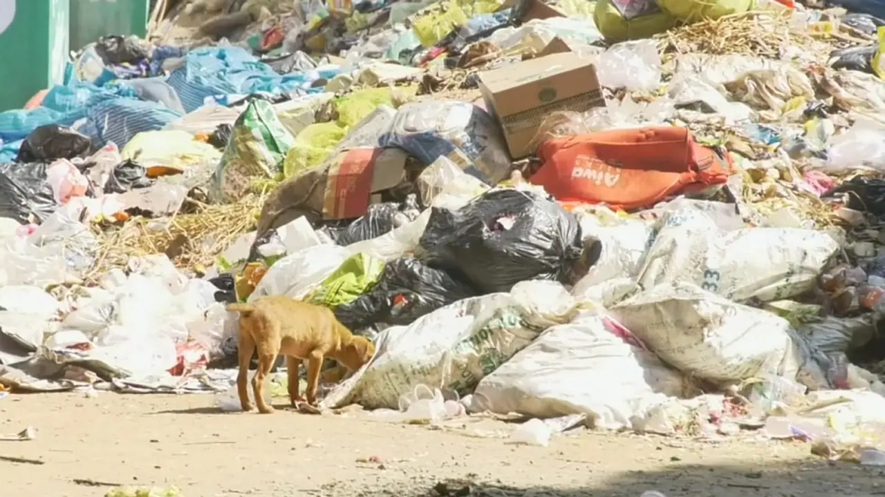 ಮಲತ್ಯಾಜ್ಯ ನಿರ್ವಹಣೆ ಘಟಕಕ್ಕೆ ಸುರಿದಿದ್ದ 80 ಲಕ್ಷ ಹಣ ಪೋಲು: ಸುಂಟಿಕೊಪ್ಪ ಗ್ರಾಮ ಪಂಚಾಯಿತಿಯಿಂದಲೇ ಅಶುಚ್ಛಿತ್ವ!