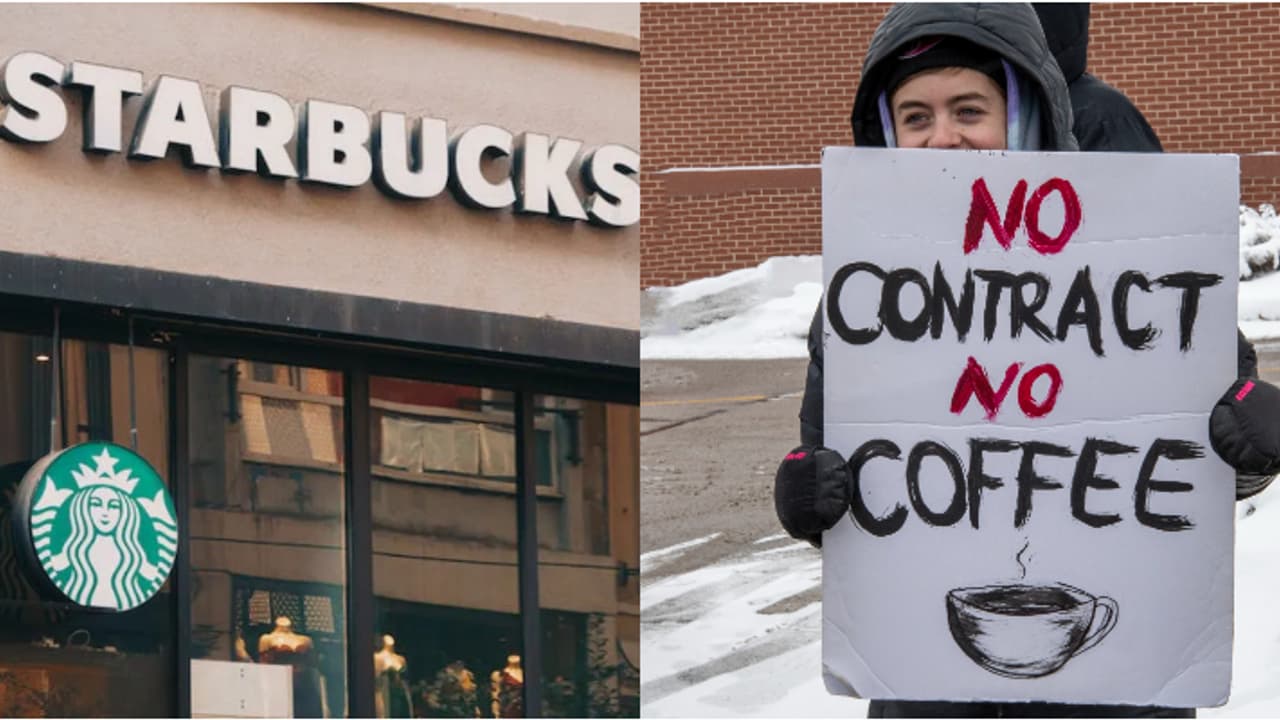 'നോ കോഫി'; സ്റ്റാർബക്സ് തൊഴിലാളി സമരം കൂടുതൽ നഗരങ്ങളിലേക്ക്, അമേരിക്കയിലെ സമരം വേതനവർധന ഉൾപ്പെടെ ആവശ്യപ്പെട്ട് 'നോ കോഫി'; സ്റ്റാർബക്സ് തൊഴിലാളി സമരം കൂടുതൽ നഗരങ്ങളിലേക്ക്, അമേരിക്കയിലെ സമരം വേതനവർധന ഉൾപ്പെടെ ആവശ്യപ്പെട്ട്