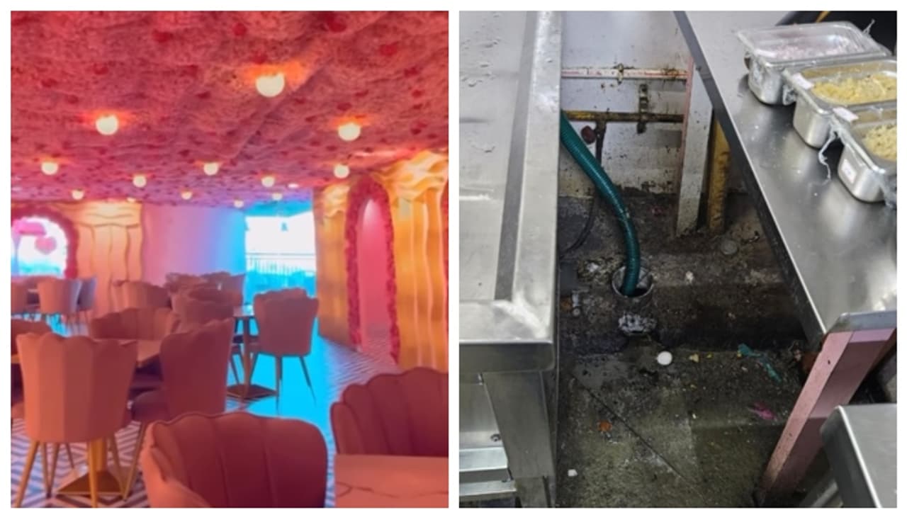 പുറത്ത് രാജകീയ സെറ്റപ്പ്, അടുക്കളയില് 'അറപ്പ്' തോന്നിക്കുന്ന കാഴ്ചകൾ; ഹൈദരാബാദ് കഫേയുടെ വീഡിയോ വൈറൽ പുറത്ത് രാജകീയ സെറ്റപ്പ്, അടുക്കളയില് 'അറപ്പ്' തോന്നിക്കുന്ന കാഴ്ചകൾ; ഹൈദരാബാദ് കഫേയുടെ വീഡിയോ വൈറൽ