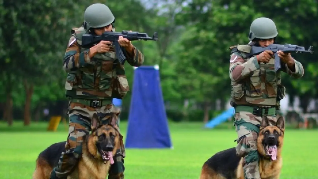 Indian Army's Remount and Veterinary Corps falls short on training, animal transport unit use: CAG audit