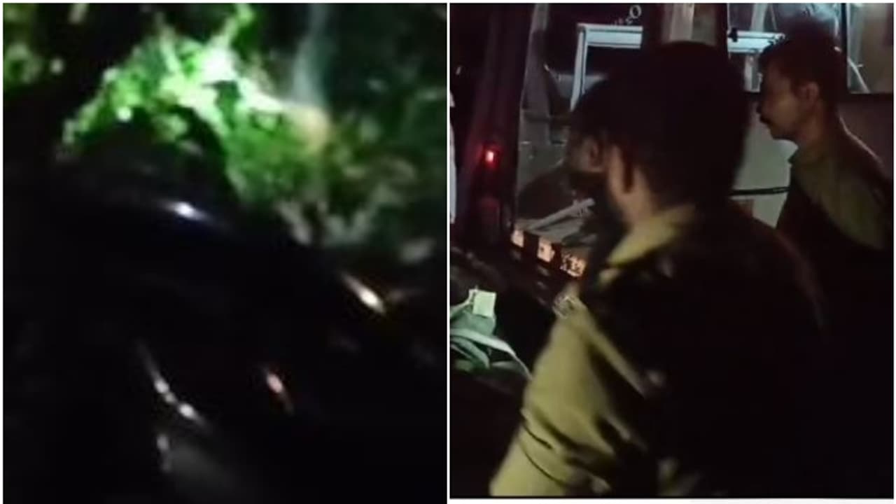 കൊല്ലത്ത് ബൈക്ക് അപകടത്തിൽ യുവാവിന് ദാരുണാന്ത്യം കൊല്ലത്ത് ബൈക്ക് അപകടത്തിൽ യുവാവിന് ദാരുണാന്ത്യം