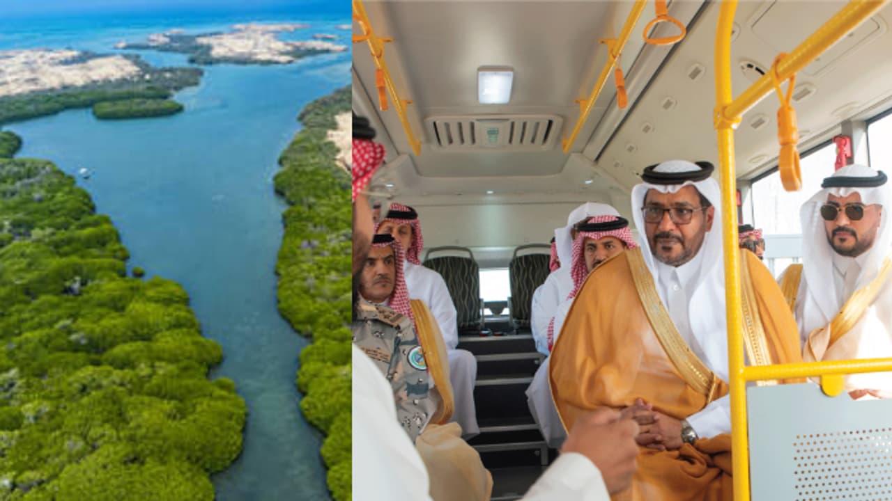 ഒമ്പത് റൂട്ടുകളിലായി 360 കിലോമീറ്റർ ദൂരം; ചെങ്കടലിലെ ഫറസാൻ ദ്വീപിൽ ബസ് സർവിസ് ആരംഭിച്ചു ഒമ്പത് റൂട്ടുകളിലായി 360 കിലോമീറ്റർ ദൂരം; ചെങ്കടലിലെ ഫറസാൻ ദ്വീപിൽ ബസ് സർവിസ് ആരംഭിച്ചു