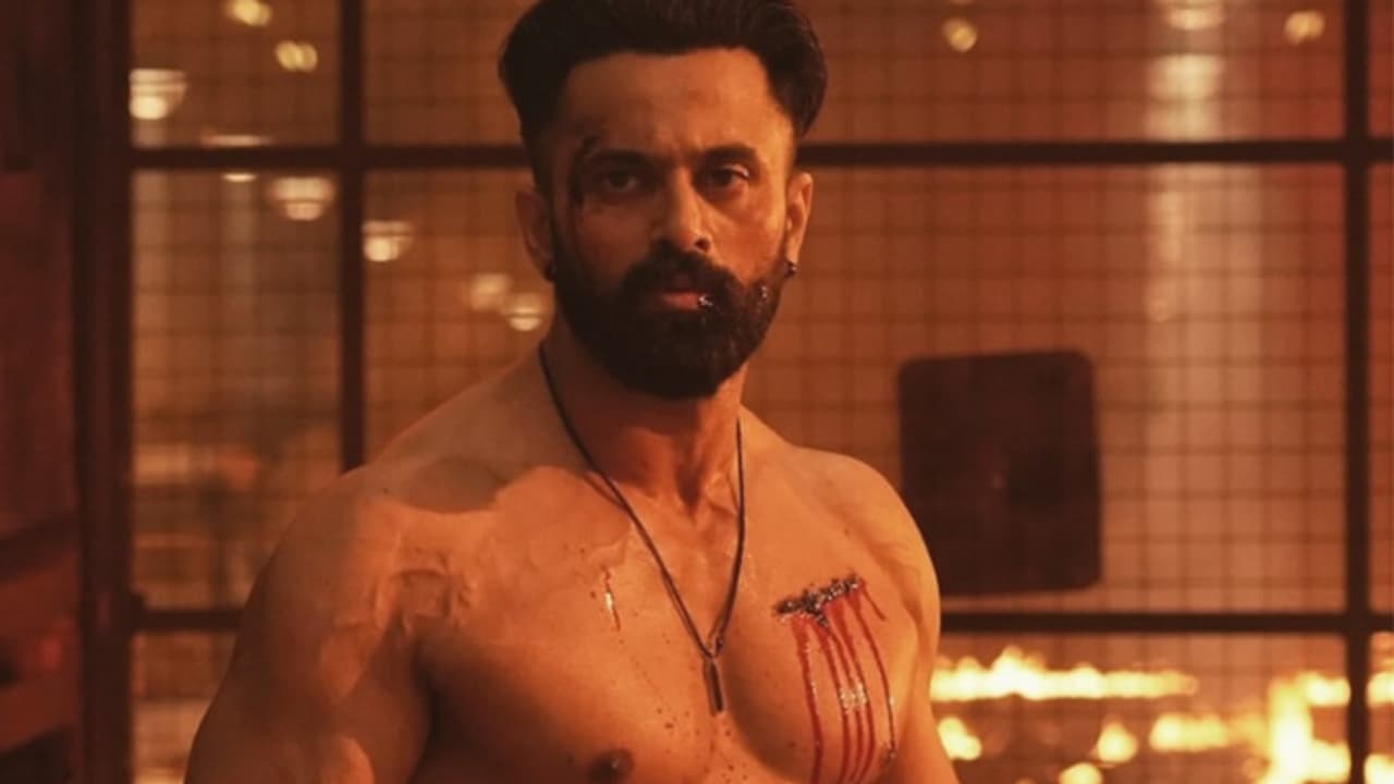 ബോളിവുഡ് അടക്കി വാണ് മാർക്കോ; 250ലേറെ അധിക സ്ക്രീനുകളിൽ ഉണ്ണി മുകുന്ദൻ പടം ബോളിവുഡ് അടക്കി വാണ് മാർക്കോ; 250ലേറെ അധിക സ്ക്രീനുകളിൽ ഉണ്ണി മുകുന്ദൻ പടം