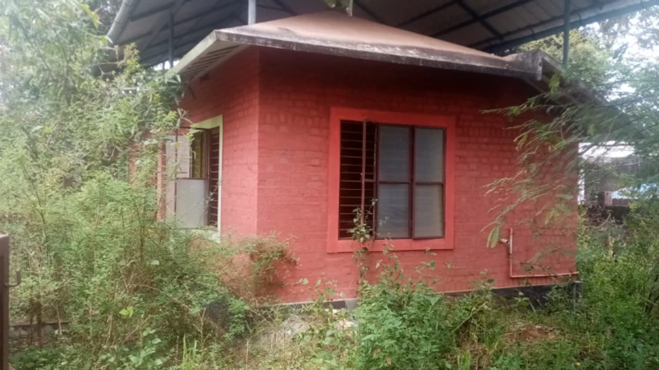 ലക്ഷങ്ങള്‍ ചെലവിട്ട് ഒന്നാന്തരം കെട്ടിടമുണ്ടാക്കി, ഇന്ന് ഇഴജന്തുക്കളുടെ താവളം; കാടുകയറി കടപ്പുറം മത്സ്യഭവന്‍