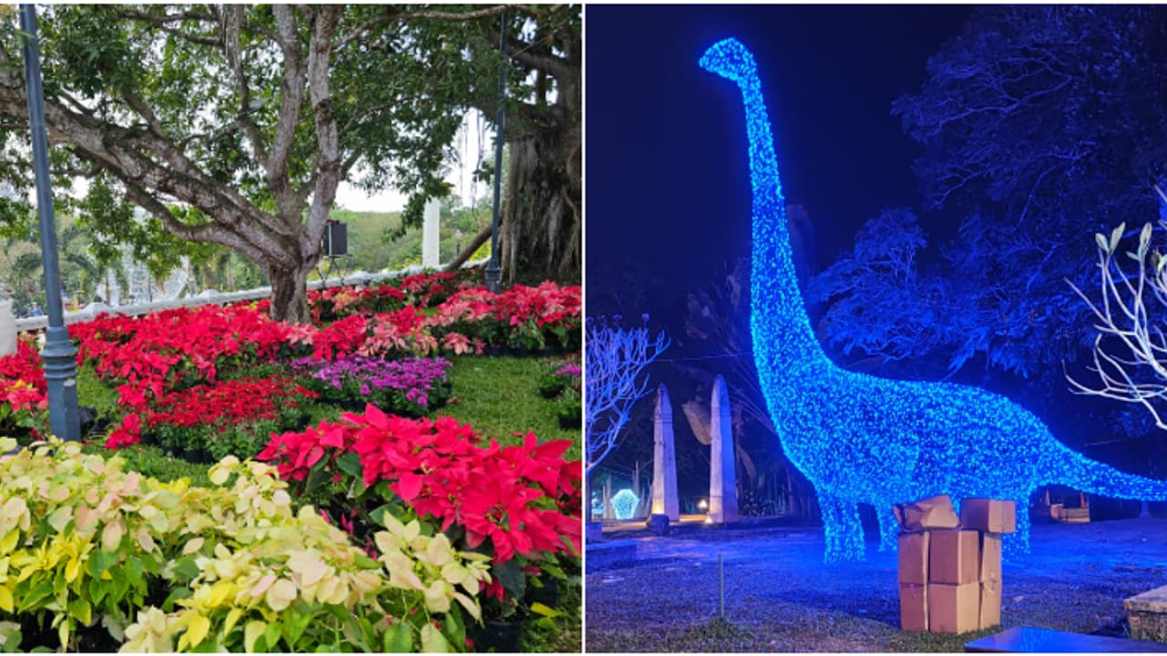 'ഇലുമിനേറ്റിങ് ജോയ്, സ്പ്രെഡിങ് ഹാര്മണി', ആഘോഷിക്കാൻ കനകക്കുന്നിലേക്ക് പോര്, വസന്തോത്സവം നാളെ തുടങ്ങും 'ഇലുമിനേറ്റിങ് ജോയ്, സ്പ്രെഡിങ് ഹാര്മണി', ആഘോഷിക്കാൻ കനകക്കുന്നിലേക്ക് പോര്, വസന്തോത്സവം നാളെ തുടങ്ങും