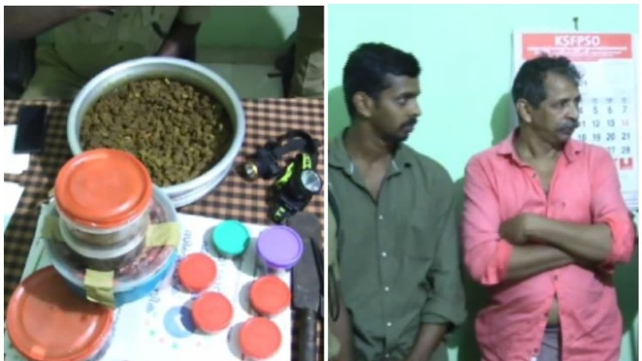 പാകം ചെയ്തും അല്ലാതെയുമായി വന്യ മൃഗങ്ങളുടെ മാംസം; അച്ഛനും മക്കളും സ്ഥിരം നായാട്ടുകാരെന്ന് വനം വകുപ്പ് സംഘം പാകം ചെയ്തും അല്ലാതെയുമായി വന്യ മൃഗങ്ങളുടെ മാംസം; അച്ഛനും മക്കളും സ്ഥിരം നായാട്ടുകാരെന്ന് വനം വകുപ്പ് സംഘം