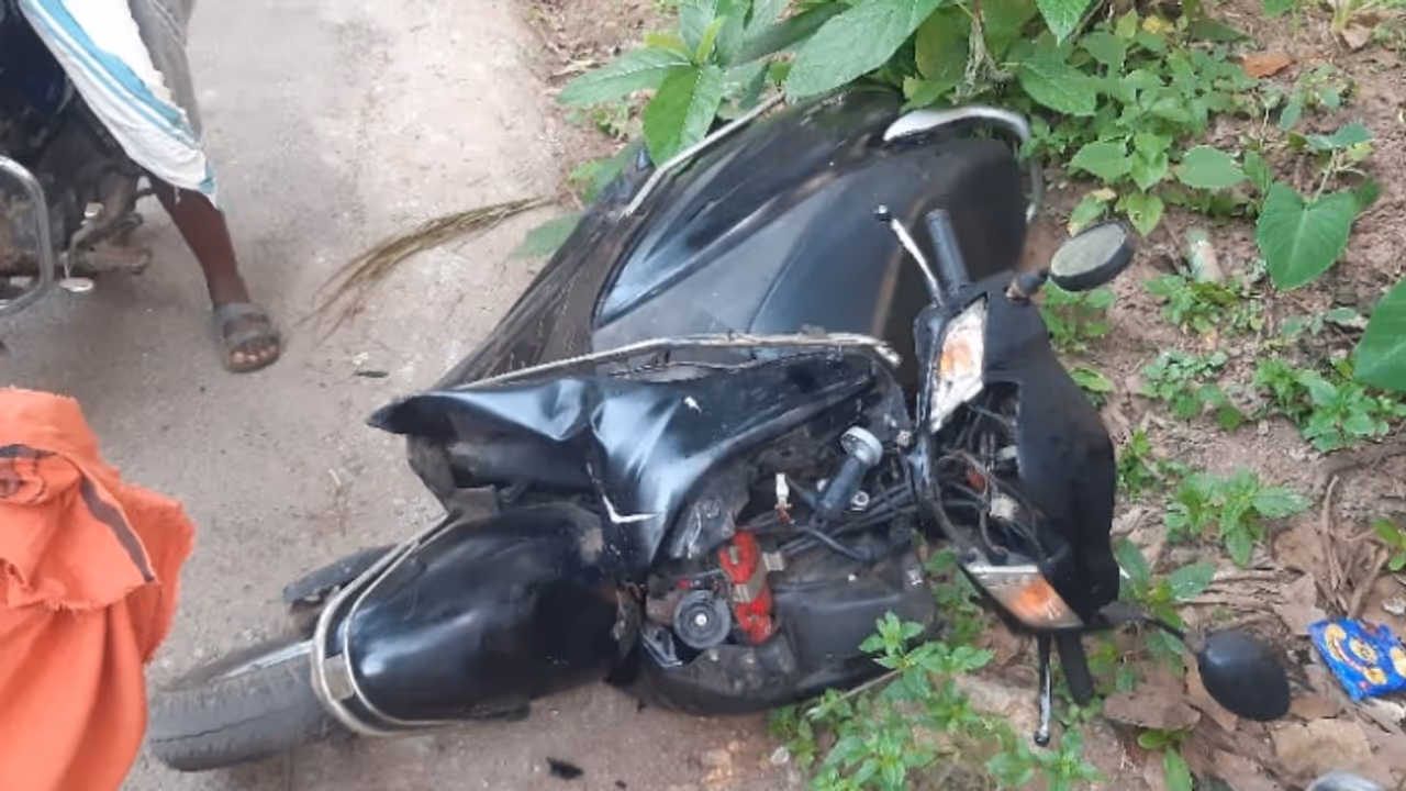 സ്കൂട്ടറിൽ യാത്ര ചെയ്യുന്നതിനിടെ കാട്ടുപോത്ത് ആക്രമിച്ചു; രണ്ട് യുവാക്കൾക്ക് പരിക്ക്, ആശുപത്രിയിലേക്ക് മാറ്റി സ്കൂട്ടറിൽ യാത്ര ചെയ്യുന്നതിനിടെ കാട്ടുപോത്ത് ആക്രമിച്ചു; രണ്ട് യുവാക്കൾക്ക് പരിക്ക്, ആശുപത്രിയിലേക്ക് മാറ്റി