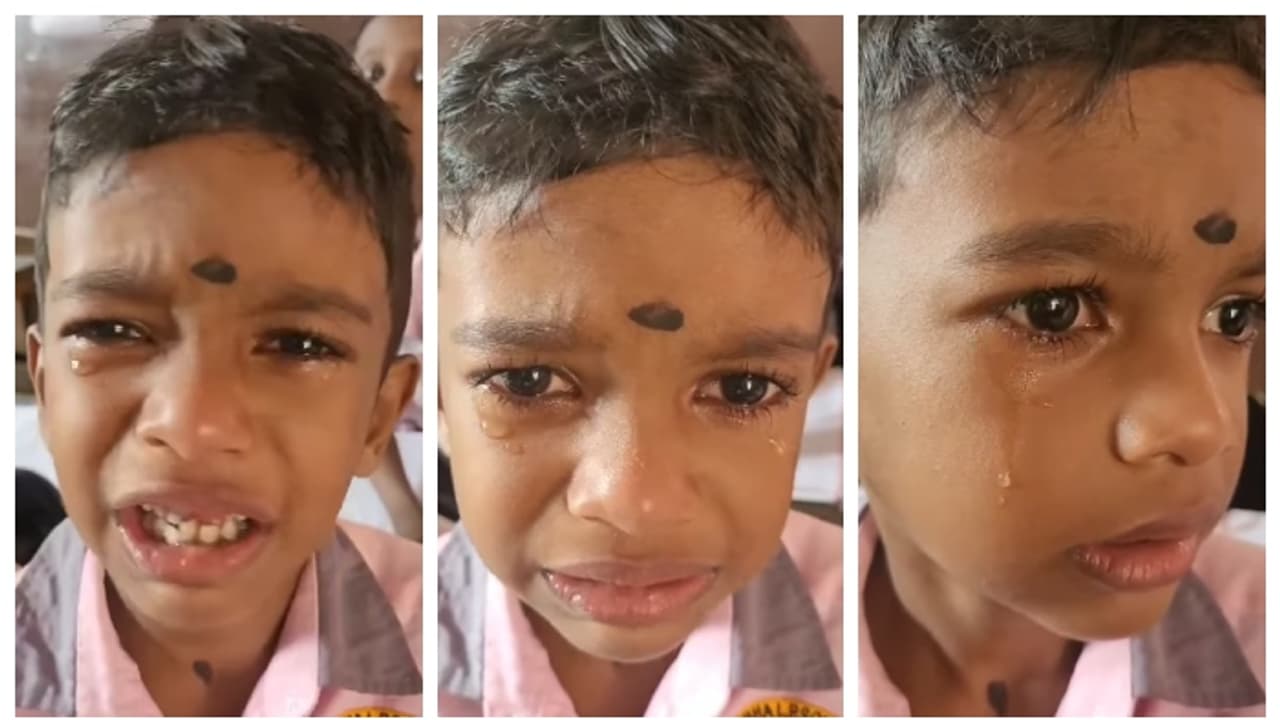 'എന്റെ പ്രാവിനെ പിടിച്ച് ഞാന് സത്യമിട്ട്, ഇനി എന്ത് സത്യം ഞാനിടണം? സാറ് പറ'; വൈറലായി കുട്ടിയുടെ സത്യമിടല് 'എന്റെ പ്രാവിനെ പിടിച്ച് ഞാന് സത്യമിട്ട്, ഇനി എന്ത് സത്യം ഞാനിടണം? സാറ് പറ'; വൈറലായി കുട്ടിയുടെ സത്യമിടല്