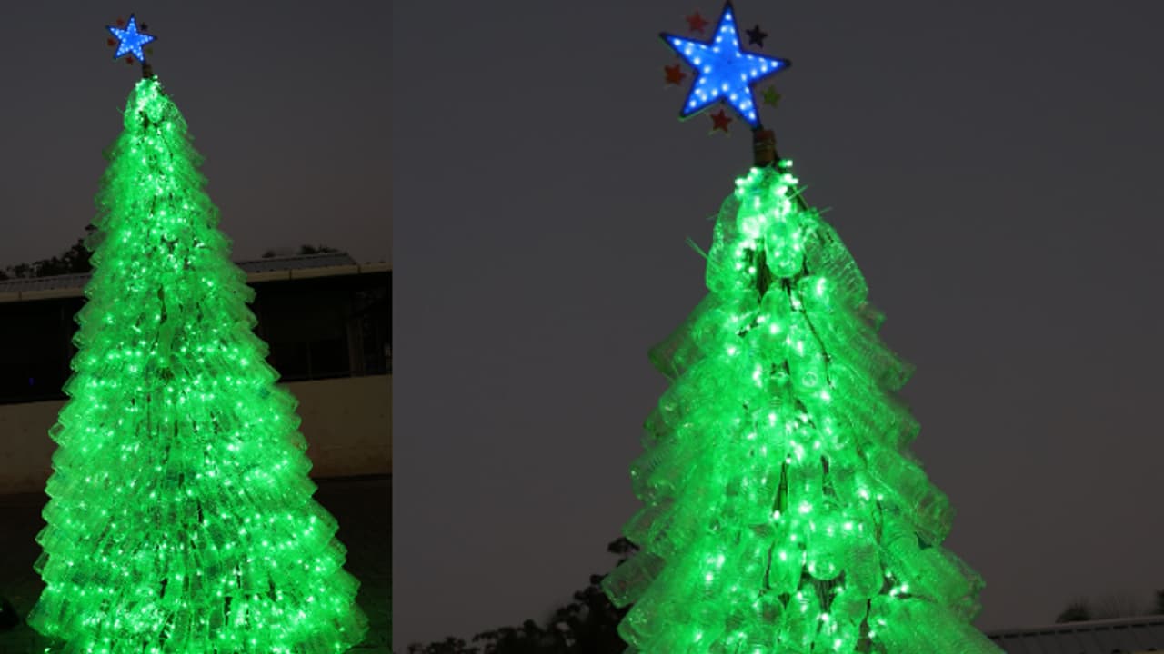 പ്ലാസ്റ്റിക് വെറുതേ വലിച്ചെറിയല്ലേ, ഇത് കണ്ടോ! പള്ളിമുറ്റത്ത് താരമായി പ്ലാസ്റ്റിക് മരം, വിദ്യാർഥികൾക്ക് കൈയടി