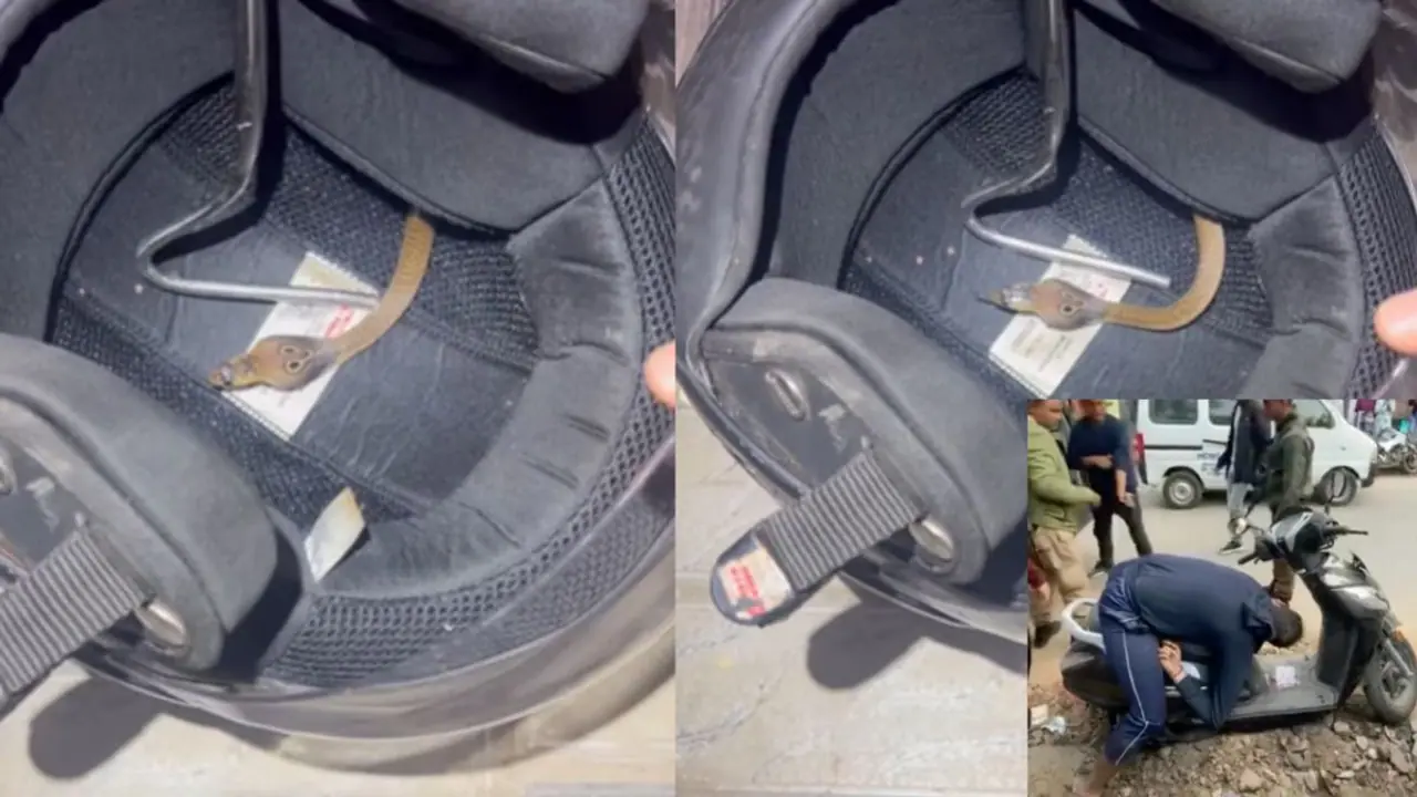 ಸುದ್ಧಿಯ ಸತ್ಯ: ಹೆಲ್ಮೆಟ್ ನಲ್ಲಿದ್ದ ಹಾವು ಕಚ್ಚಿ ವ್ಯಕ್ತಿ ಸಾವು? ವಿಡಿಯೋ ವೈರಲ್ ಸುದ್ಧಿಯ ಸತ್ಯ: ಹೆಲ್ಮೆಟ್ ನಲ್ಲಿದ್ದ ಹಾವು ಕಚ್ಚಿ ವ್ಯಕ್ತಿ ಸಾವು? ವಿಡಿಯೋ ವೈರಲ್