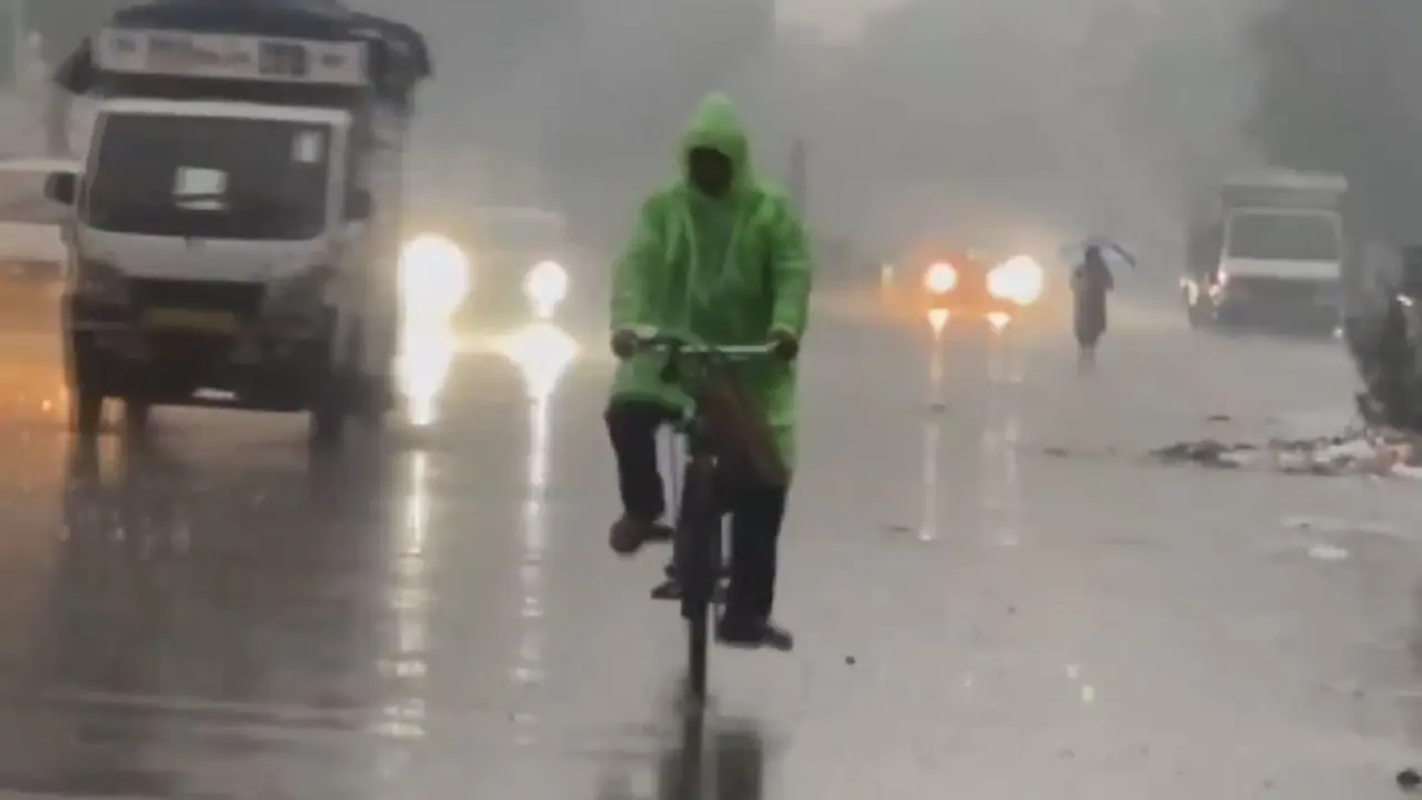 Weather UPDATE: IMD issues alert for rain, dense fog till New Year; temperature to dip in North India