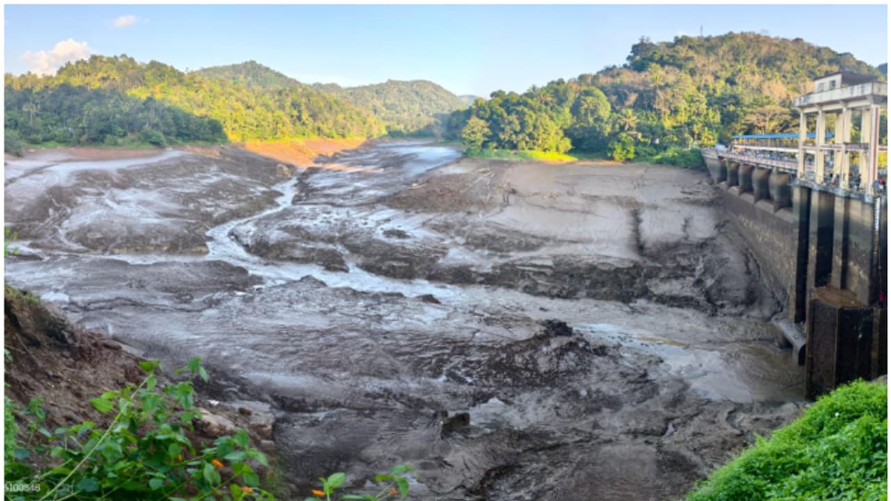 തകരാര് പരിഹരിക്കാൻ അണക്കെട്ട് തുറന്ന് വിട്ടു; നാട്ടുകാർക്ക് ചാകര! മീന് പിടിക്കാൻ കല്ലാർകുട്ടിയിൽ വൻ തിരക്ക് തകരാര് പരിഹരിക്കാൻ അണക്കെട്ട് തുറന്ന് വിട്ടു; നാട്ടുകാർക്ക് ചാകര! മീന് പിടിക്കാൻ കല്ലാർകുട്ടിയിൽ വൻ തിരക്ക്