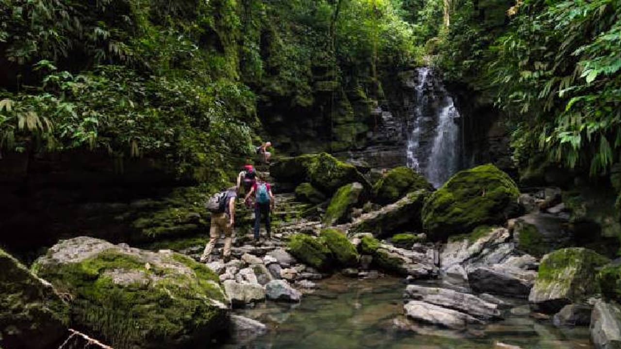 bihar turism bihar turism