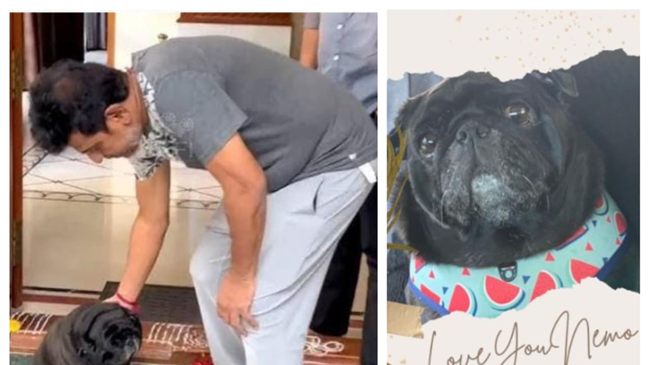 ಶಿವಣ್ಣ ಮನೆ ನಾಯಿ ನೀಮೋ ನಿಧನ, ಕಣ್ಣೀರು ಉಕ್ಕಿಸುವ ಪತ್ರ ಬರೆದ ಗೀತಾ ಶಿವರಾಜ್‌ಕುಮಾರ್!