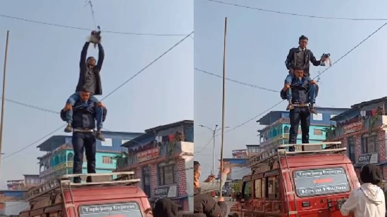 'ശരിക്കും ഹീറോകളാണ് നിങ്ങൾ'; ഇലക്ട്രിക് വയറിൽ കുടുങ്ങിയ പ്രാവിനെ രക്ഷിക്കാൻ യുവാക്കൾ ചെയ്തത് 'ശരിക്കും ഹീറോകളാണ് നിങ്ങൾ'; ഇലക്ട്രിക് വയറിൽ കുടുങ്ങിയ പ്രാവിനെ രക്ഷിക്കാൻ യുവാക്കൾ ചെയ്തത്