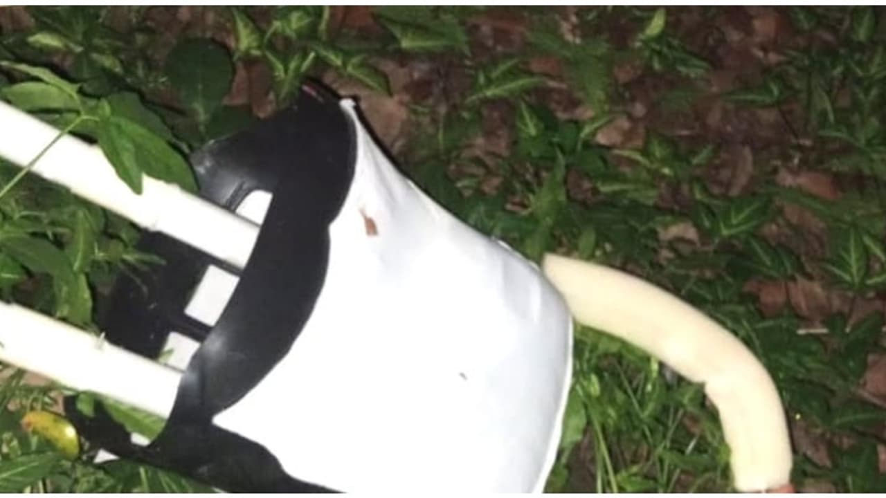 20,000 രൂപ വില, അഞ്ചര അടി നീളം; ക്രിസ്മസ് ദിനത്തിൽ സാന്താ ക്ലോസിനെ അടിച്ചുമാറ്റി, കഷണങ്ങളാക്കി പറമ്പിൽ തള്ളി