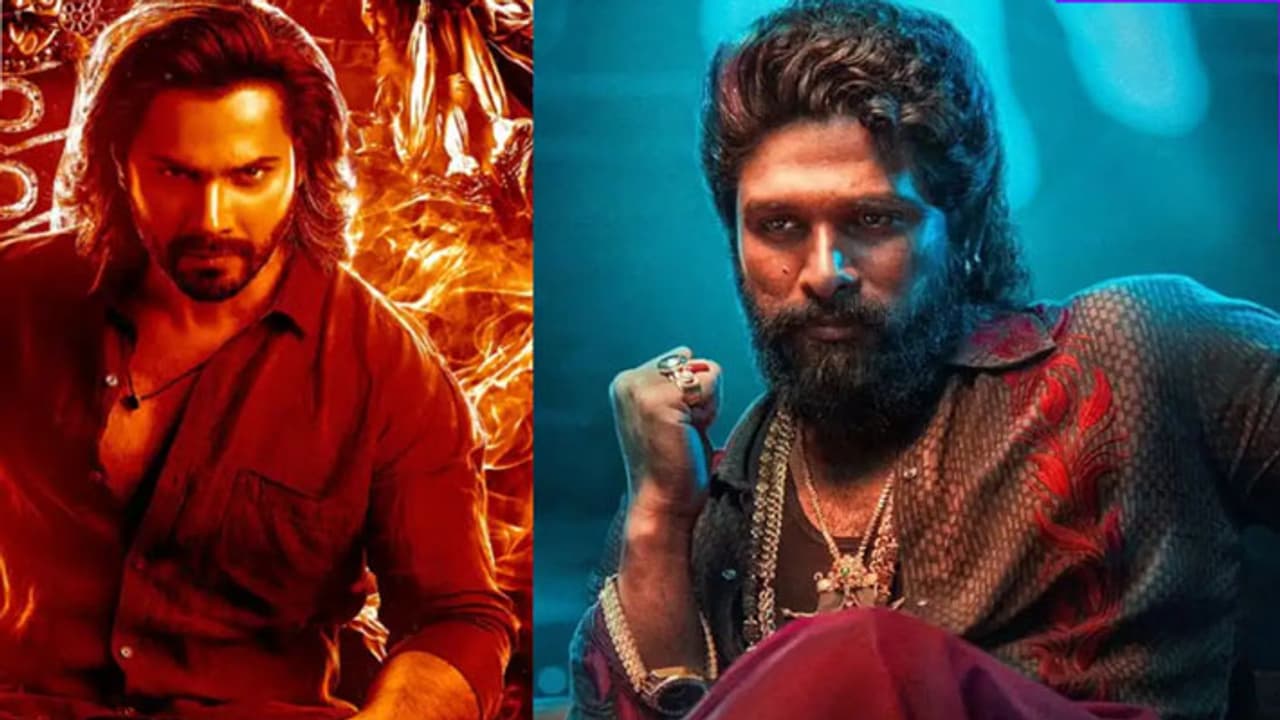 baby john pushpa 2 collection baby john pushpa 2 collection