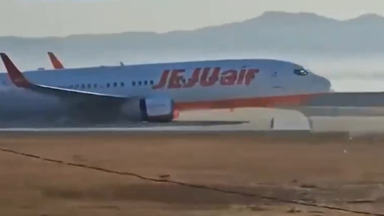 ಕೊರಿಯಾ ವಿಮಾನ ಪತನಕ್ಕೆ ಕಾರಣವಾಯ್ತಾ ಬೆಲ್ಲಿ ಲ್ಯಾಂಡಿಂಗ್? ಏನಿದು ತುರ್ತು ಭೂಸ್ಪರ್ಶ? ಕೊರಿಯಾ ವಿಮಾನ ಪತನಕ್ಕೆ ಕಾರಣವಾಯ್ತಾ ಬೆಲ್ಲಿ ಲ್ಯಾಂಡಿಂಗ್? ಏನಿದು ತುರ್ತು ಭೂಸ್ಪರ್ಶ?