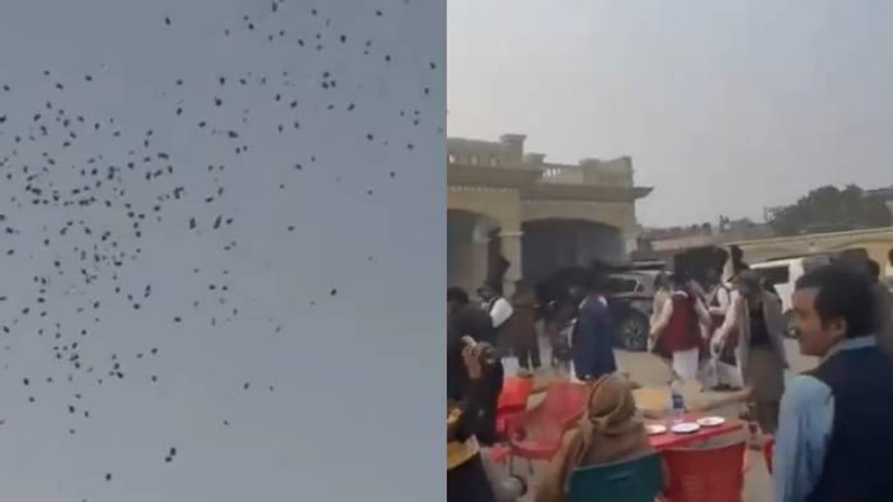 അമ്പമ്പോ, വിമാനം വാടകയ്ക്കെടുത്തു, വധുവിന്റെ വീടിന് മുകളിൽ പണം വർഷിച്ച് വരന്റെ പിതാവ്? അമ്പമ്പോ, വിമാനം വാടകയ്ക്കെടുത്തു, വധുവിന്റെ വീടിന് മുകളിൽ പണം വർഷിച്ച് വരന്റെ പിതാവ്?