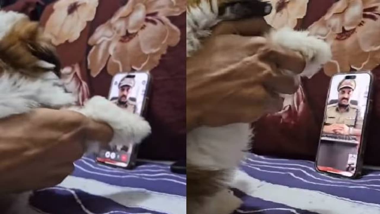 'സാർ, നിങ്ങൾക്കെന്നെ കാണുന്നില്ലേ സാർ, പോയോ?'; തട്ടിപ്പുകാർക്ക് എട്ടിന്റെ പണികൊടുത്ത് യുവാവ്