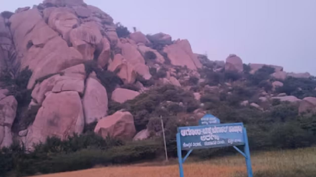 ಮೀಸಲು ಅರಣ್ಯ ಪ್ರದೇಶದಲ್ಲೇ ಅಣು ವಿದ್ಯುತ್ ಸ್ಥಾವರ: ಪರಭಾರೆಗೆ ಅವಕಾಶ ಇಲ್ಲ ಮೀಸಲು ಅರಣ್ಯ ಪ್ರದೇಶದಲ್ಲೇ ಅಣು ವಿದ್ಯುತ್ ಸ್ಥಾವರ: ಪರಭಾರೆಗೆ ಅವಕಾಶ ಇಲ್ಲ