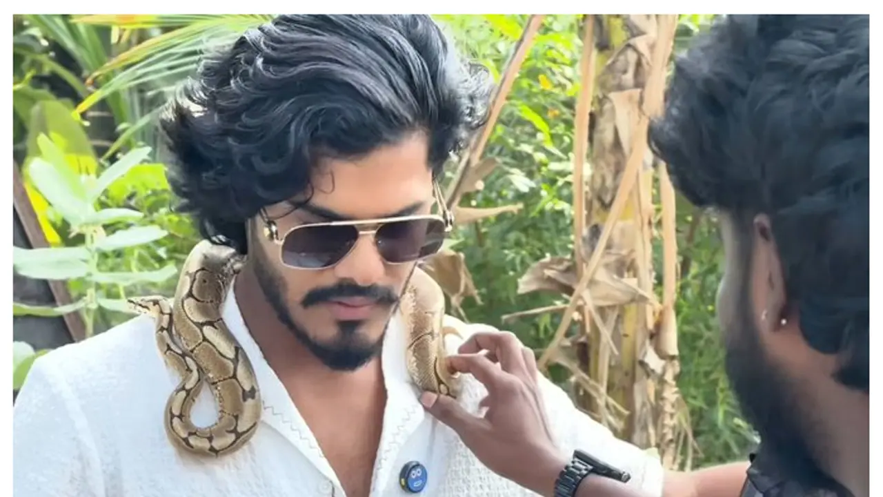 ஸ்நேக் பாபுவாக மாறிய டிடிஎப் வாசன்; பாம்பு வளர்ப்பதால் வெடித்த சர்ச்சை