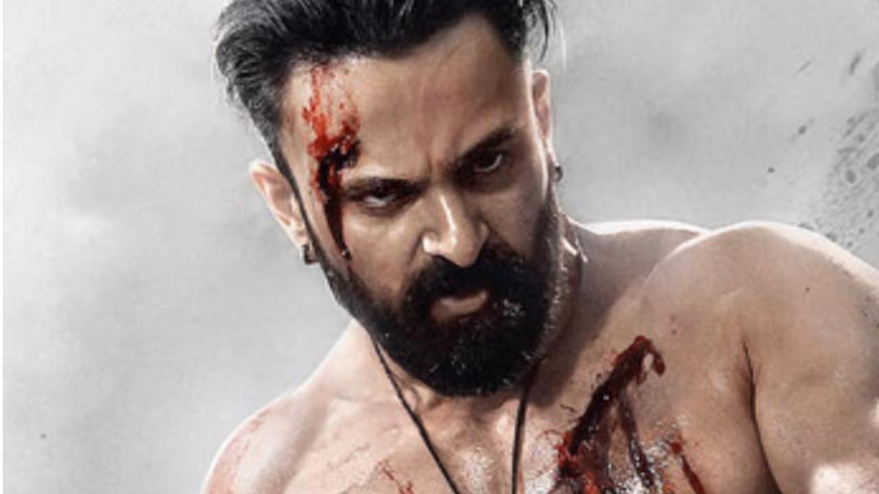 ബോളിവുഡിനെ വിറപ്പിച്ച് മാര്‍ക്കോ, ആകെ എത്ര നേടി?