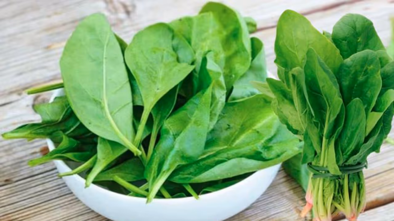 Health Tips : പിരീഡ്സ് സമയത്ത് പാലക്ക് ചീര കഴിച്ചോളൂ, കാരണം Health Tips : പിരീഡ്സ് സമയത്ത് പാലക്ക് ചീര കഴിച്ചോളൂ, കാരണം