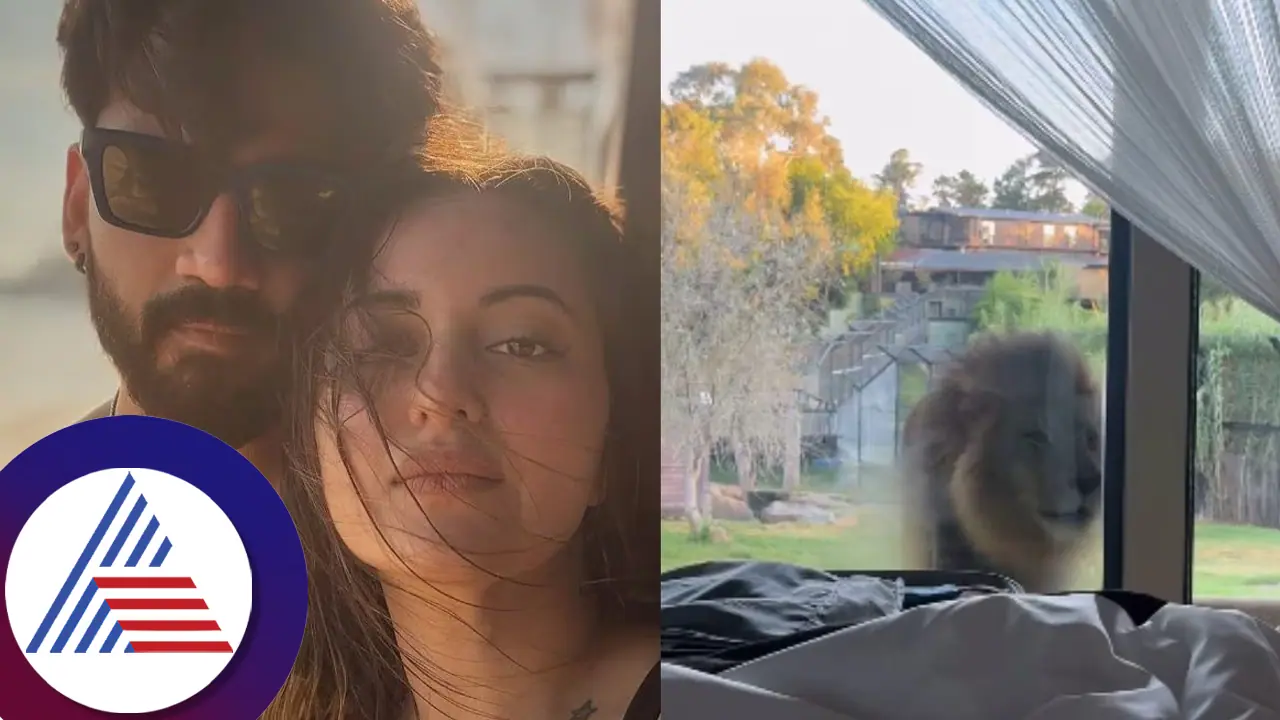 ಆಸ್ಟ್ರೇಲಿಯಾದಲ್ಲಿ ಸೋನಾಕ್ಷಿ ಜಹೀರ್​ ಹನಿಮೂನ್​ಗೆ ಭಂಗ ತಂದ ಸಿಂಹ! ಶಾಕಿಂಗ್​ ವಿಡಿಯೋ ವೈರಲ್​