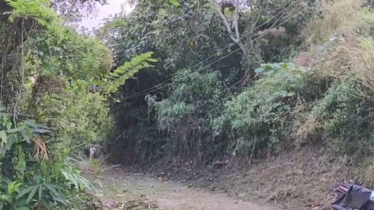 കാടുവെട്ടി തെളിക്കുന്നതിനിടെ പാമ്പു കടിച്ചു; ചികിത്സയിലായിരുന്ന യുവാവ് മരിച്ചു, ഒരാഴ്ചക്കുള്ളിൽ രണ്ടാമത്തെയാൾ കാടുവെട്ടി തെളിക്കുന്നതിനിടെ പാമ്പു കടിച്ചു; ചികിത്സയിലായിരുന്ന യുവാവ് മരിച്ചു, ഒരാഴ്ചക്കുള്ളിൽ രണ്ടാമത്തെയാൾ