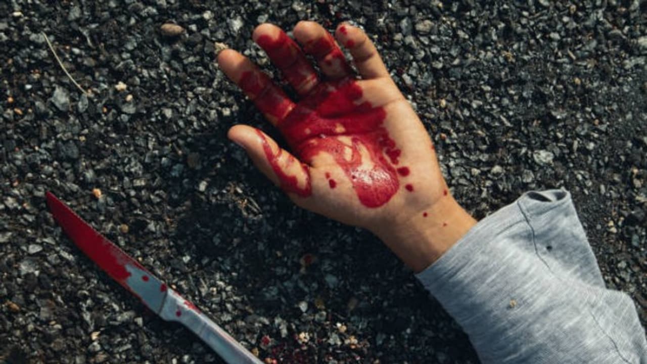 Double Murder Double Murder