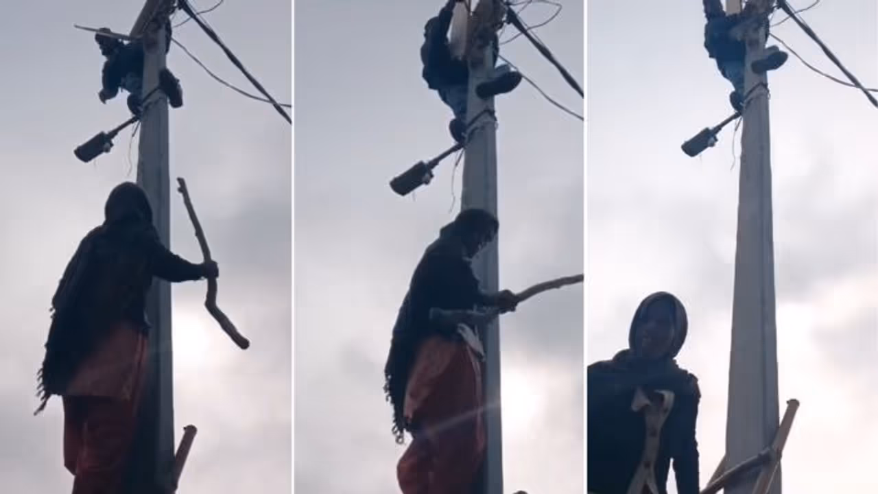 UP woman climbs electric pole to confront lineman over power cut, forces him to back down (WATCH) UP woman climbs electric pole to confront lineman over power cut, forces him to back down (WATCH)