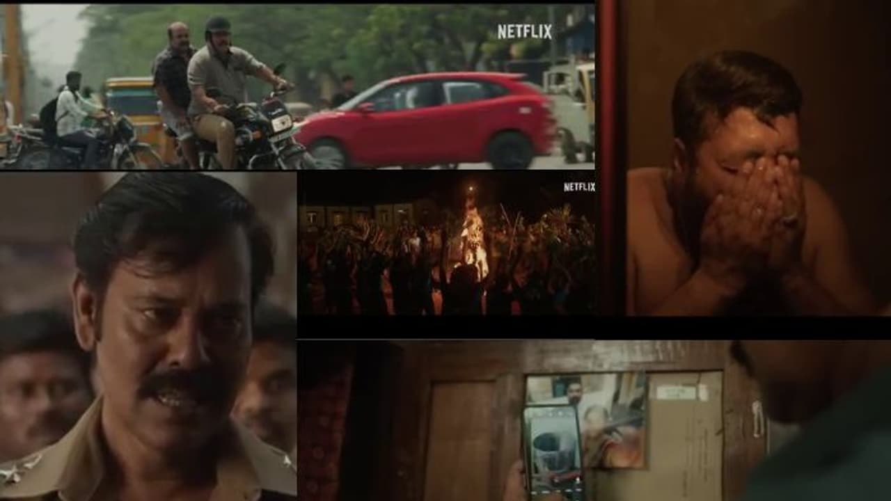 25 ಕೋಟಿಯ ಚಿತ್ರ ಗಳಿಸಿದ್ದು 100 ಕೋಟಿ ರೂಪಾಯಿ; ಬಾಲಿವುಡ್ ದಾಖಲೆ ಮುರಿದ ಸೌಥ್ ಸಿನಿಮಾ