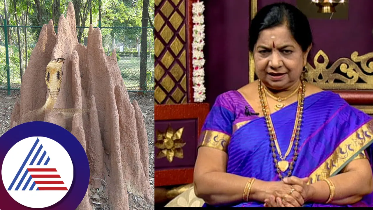 ಹುತ್ತಕ್ಕೂ, ಹಾಲಿಗೂ, ಸಂತಾನಕ್ಕೂ ಇದೆ ವೈಜ್ಞಾನಿಕ ಸಂಬಂಧ: ಆಯುರ್ವೇದ ವೈದ್ಯೆ ಡಾ. ಗೌರಿ ಮಾತು ಕೇಳಿ 