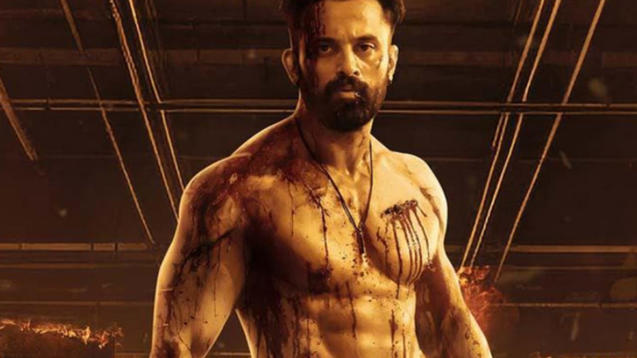 ബോളിവുഡിനെ അമ്പരപ്പിച്ച് മാര്‍ക്കോയുടെ കുതിപ്പ്, ആരൊക്കെ വീഴും?, ആകെ നേടിയതിന്റെ കണക്കുകള്‍