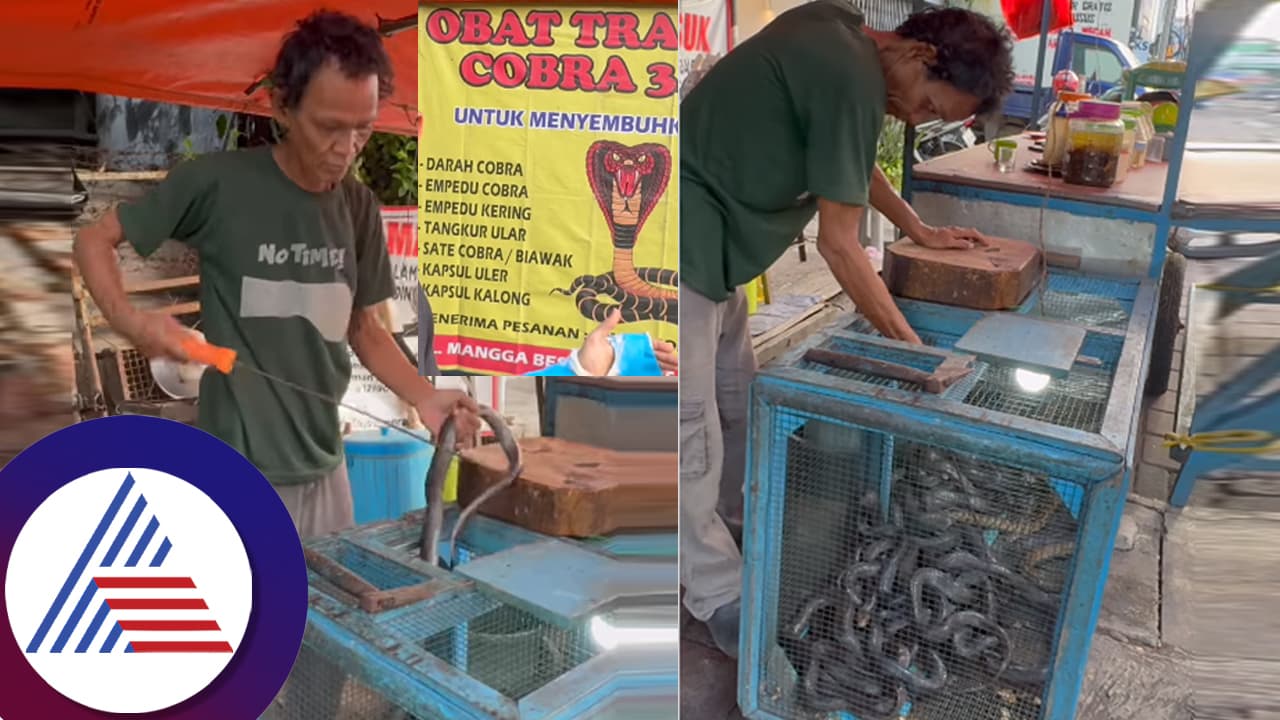 ಸೌಂದರ್ಯ ವೃದ್ಧಿಗೆ ನಾಗರಹಾವಿನ ಪಕೋಡಾ: ಒಂದಕ್ಕೆ ಒಂದು ಸಾವಿರ ರೂ! ಮೈ ಝುಂ ಎನ್ನೋ ವಿಡಿಯೋ ವೈರಲ್​ 