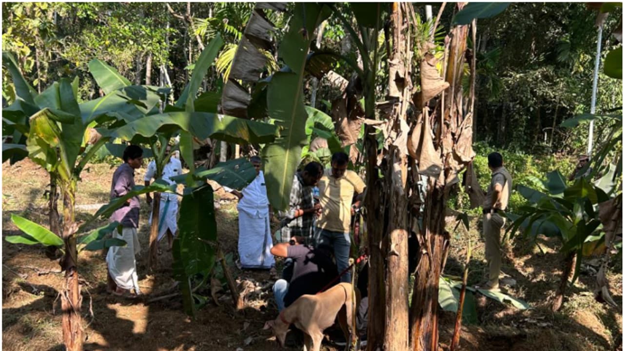 വിജയലക്ഷ്മിയും പ്രീതയും വാഴത്തോട്ടത്തിൽ കാട് വെട്ടിത്തെളിക്കുന്നതിനിടെ അപ്രതീക്ഷിതം, പൊട്ടിത്തെറി; പരിക്കേറ്റു വിജയലക്ഷ്മിയും പ്രീതയും വാഴത്തോട്ടത്തിൽ കാട് വെട്ടിത്തെളിക്കുന്നതിനിടെ അപ്രതീക്ഷിതം, പൊട്ടിത്തെറി; പരിക്കേറ്റു