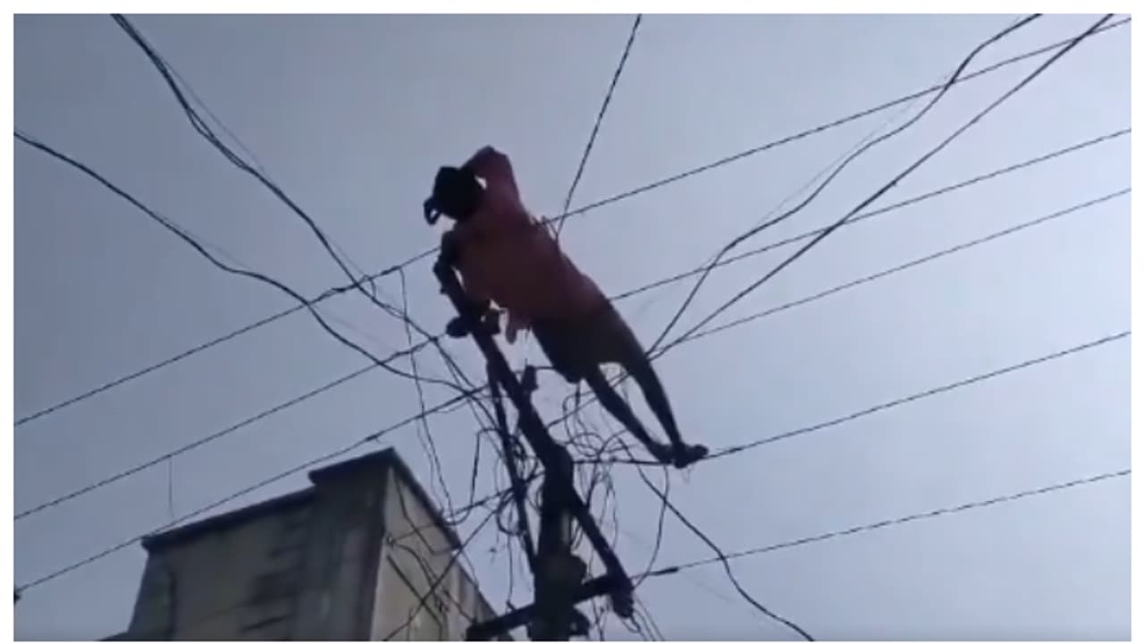 മദ്യലഹരിയിൽ കിടക്കാനായി കയറിയത് വൈദ്യുതി തൂണിലേക്ക്; പിന്നാലെ കമ്പിയിൽ കിടന്ന് ഉറക്കം; വീഡിയോ വൈറൽ മദ്യലഹരിയിൽ കിടക്കാനായി കയറിയത് വൈദ്യുതി തൂണിലേക്ക്; പിന്നാലെ കമ്പിയിൽ കിടന്ന് ഉറക്കം; വീഡിയോ വൈറൽ