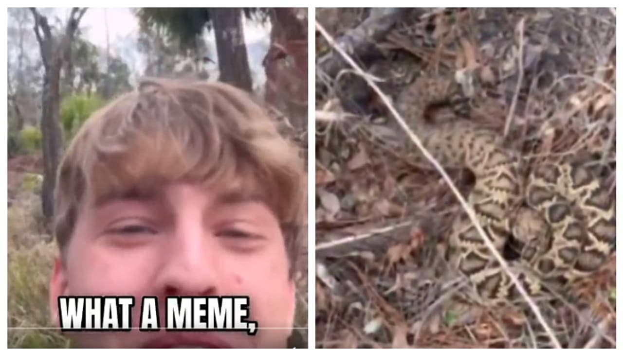 കടിച്ചത് ഏറ്റവും മാരകമായ പാമ്പ്, 'ഞാന്‍ പെട്ടെന്ന്' യുവാവ്, ഇതുവരെ എടുത്തത് 88 കുത്തിവയ്പ്പുകള്‍; വീഡിയോ വൈറൽ