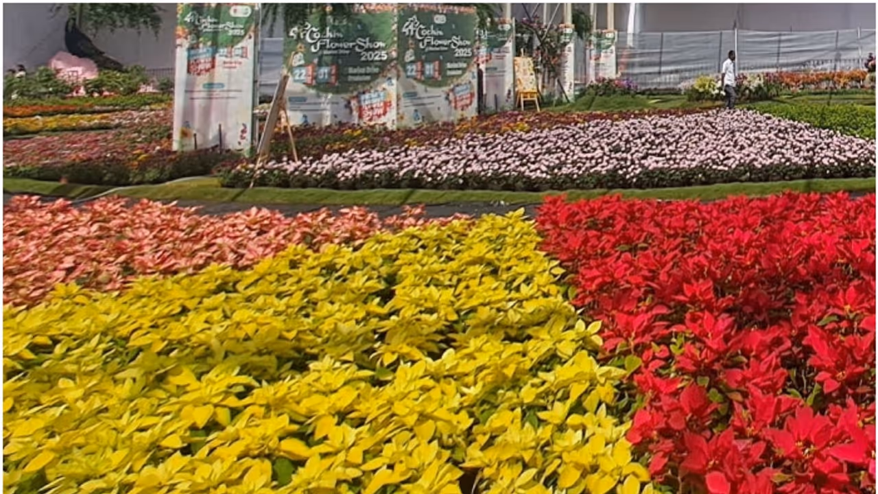 മറൈൻ ഡ്രൈവിലെ ഫ്ലവർ ഷോയിലുണ്ടായ അപകടം; സംഘാടകർക്കെതിരെ കേസെടുത്ത് പൊലീസ്