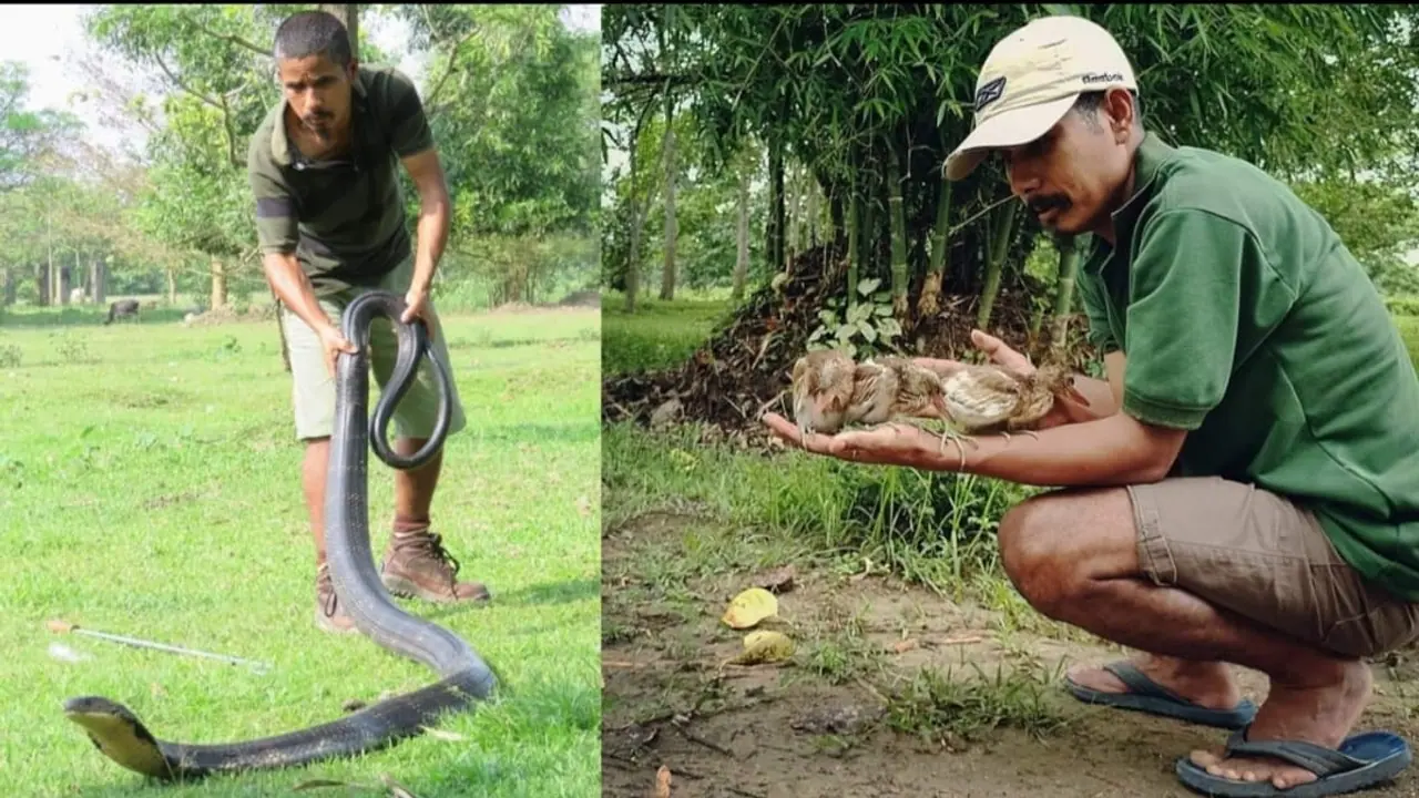 Wildlife Hero: Meet Manoj Gogoi, the Assam man who has rescued over 6000 animals in two decades